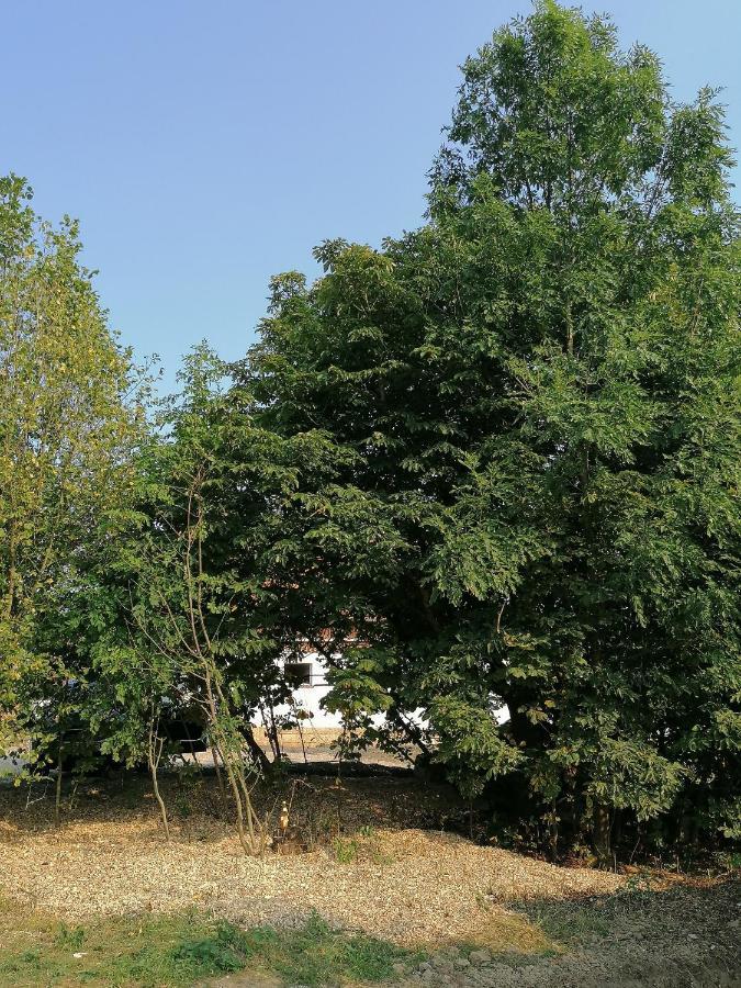 Camping Weides 쿠프스 외부 사진